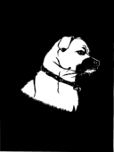 wei-er-hund0001.jpg